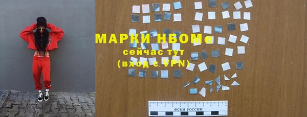 индика Зеленокумск