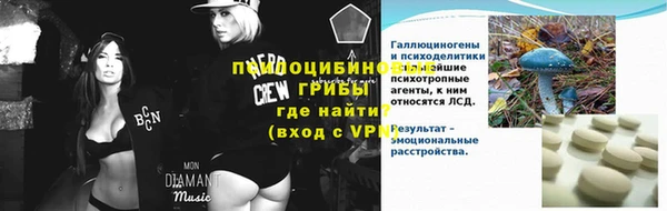 бошки Алексин