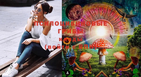 МДПВ Алзамай