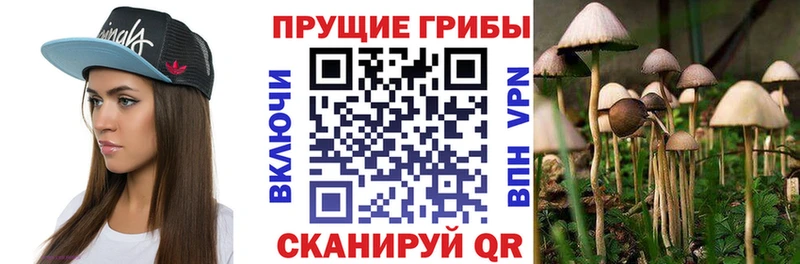 Псилоцибиновые грибы ЛСД  MEGA ссылка  Александровское 